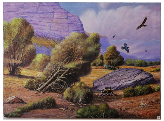 Paisaje del Coropuna Oil Canvas Landscaping