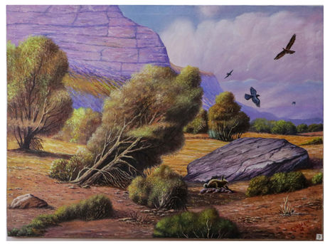 Paisaje del Coropuna