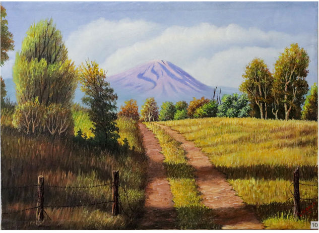 Volcán Misti Oil Canvas Landscaping