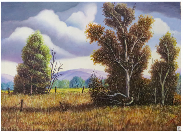 Paisaje Arequipeño Oil Canvas Landscaping