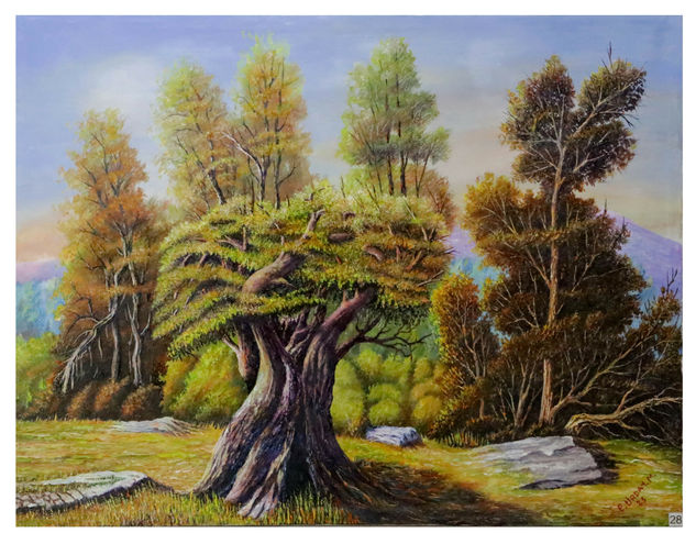 Renacer en el bosque Oil Canvas Landscaping