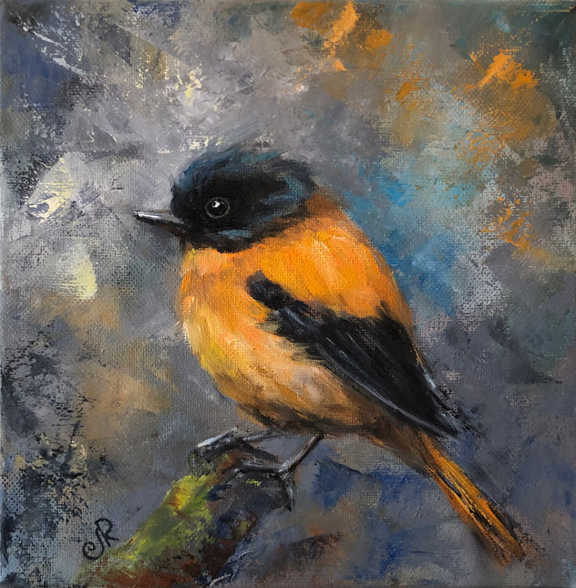 Pájaro Bird