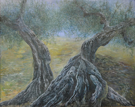 Serie Olivos
