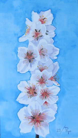 flores de almendros 11 Watercolour Paper Floral Painting