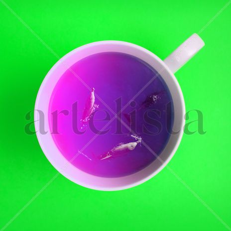 S/t