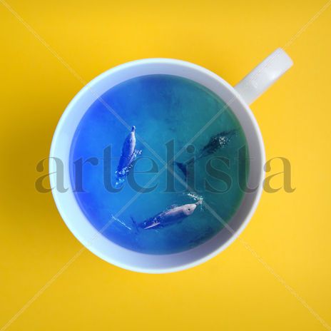 S/t