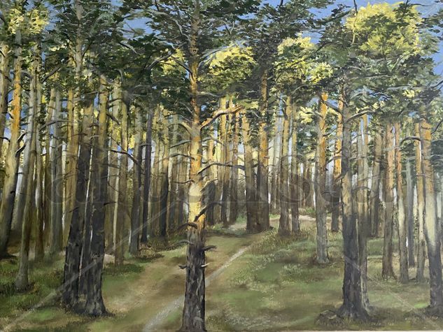 Bosque de Soria Oil Canvas Landscaping