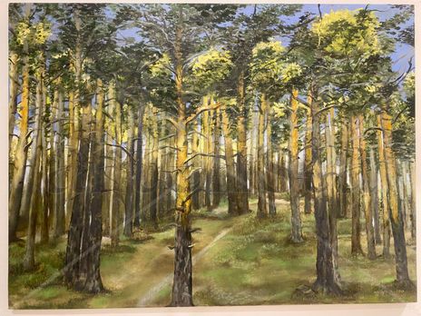 Bosque de Soria
