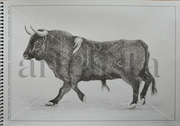 Toro