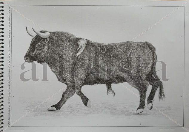 Toro Graphite