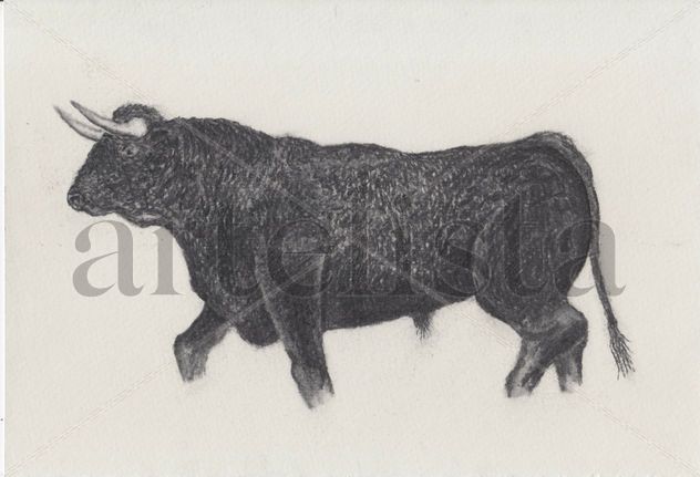 Toro