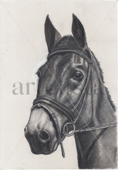 Caballo Charcoal