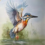 kingfisher Art