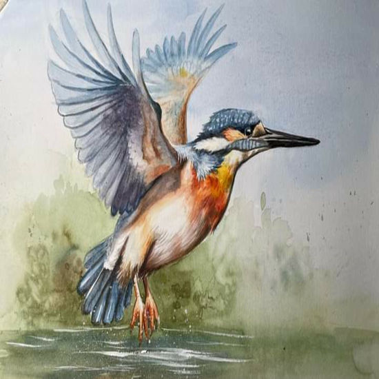 kingfisher Art Otros Lienzo Animales