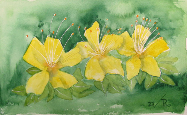 Tres hermanas Watercolour Paper Floral Painting