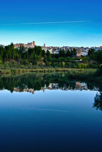 Reflejos y ondas