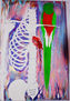 Quetzal sobre clavícula