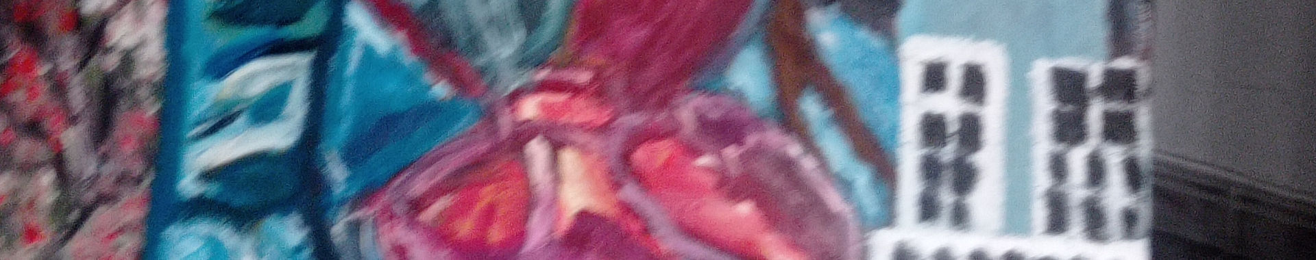Imagen de portada