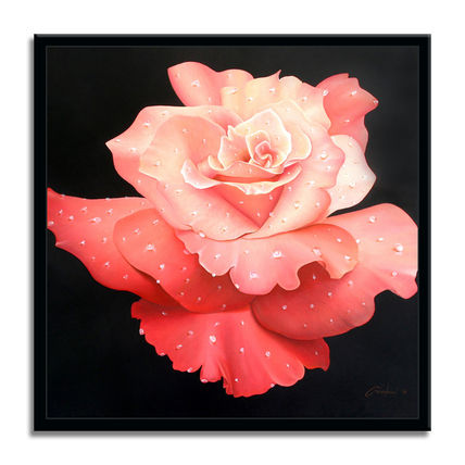 Le Rose