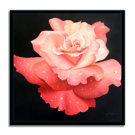 Le Rose