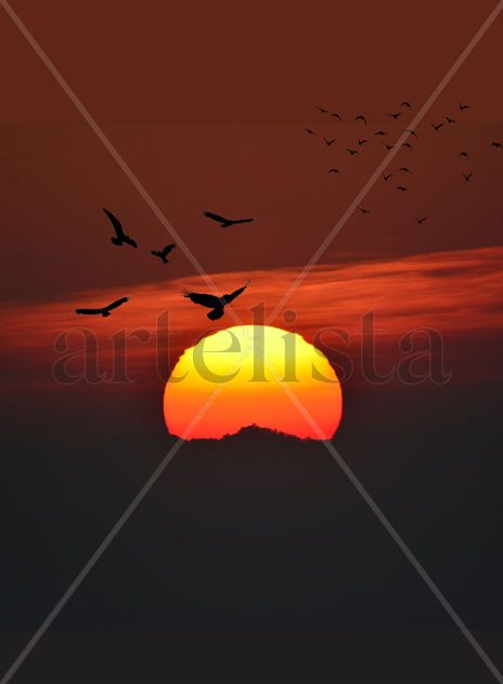 Atardecer