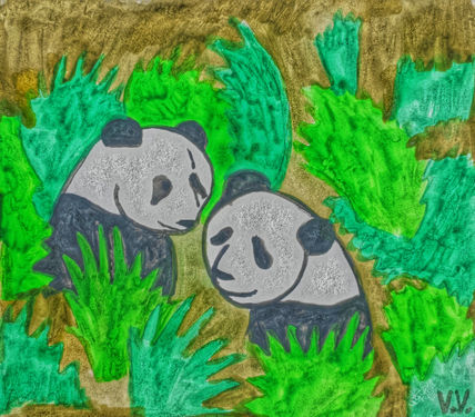 Ositos pandas