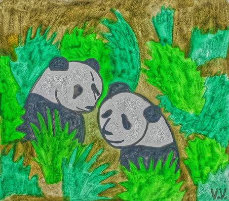 Ositos pandas