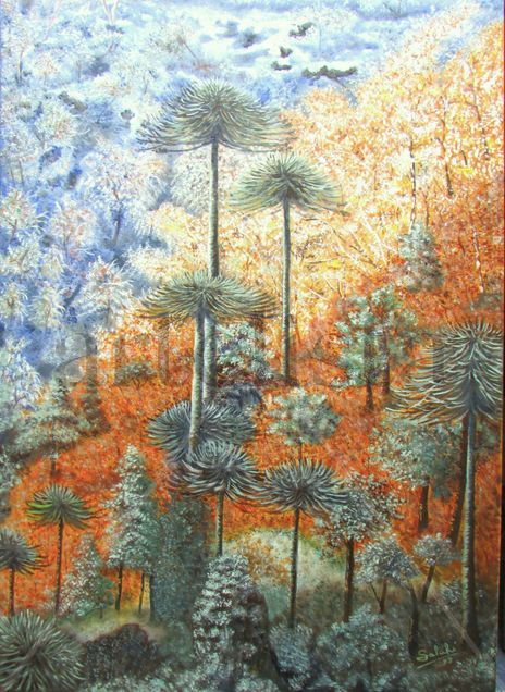 Araucanía Chilena.