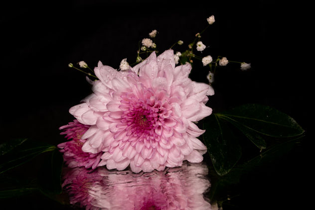 flores