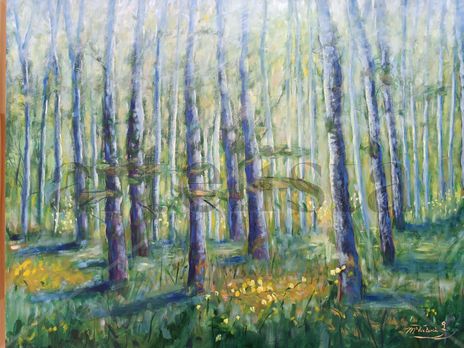 Bosque 2