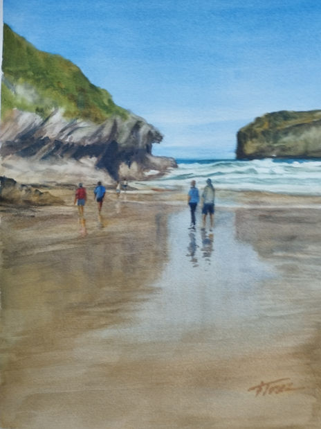 Playa norteña