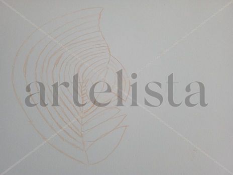 Mariposa blanca