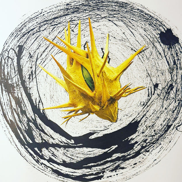 fruto