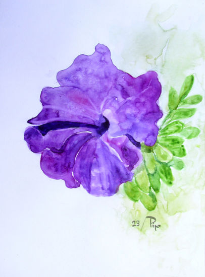 petunia 3 Watercolour Paper Floral Painting