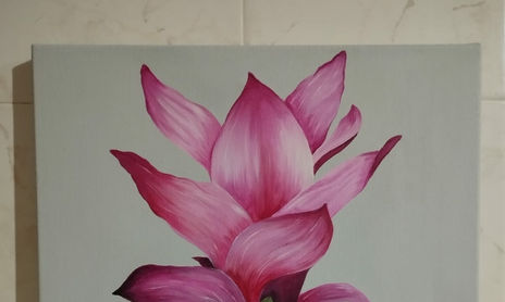 Decorativos Floral.