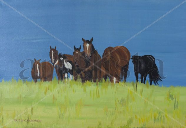 Herd of horses relaxing