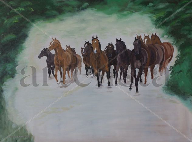 Young wild herd of horses