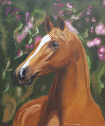 Noble horse portrait