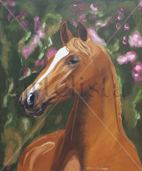 Noble horse portrait