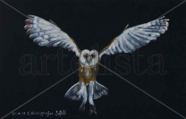 Barn owl Oil Textile Animals