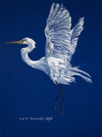 White heron on blue...