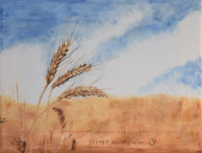 Wheat ears