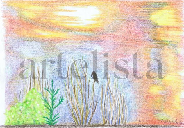 Sunset with a crow Pencil