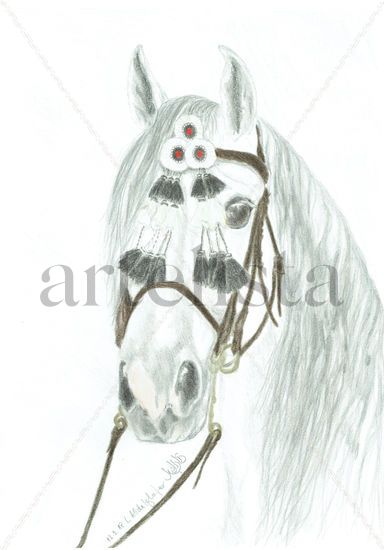 Andalusian stallion with traditional bridle Lápiz