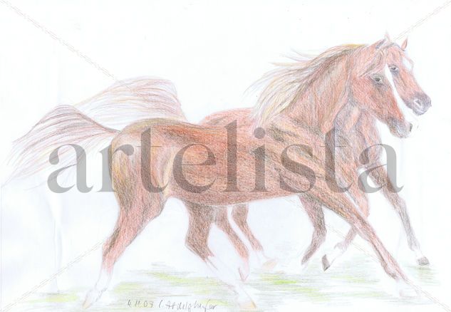 Best Friends - Ariabian horses Pencil