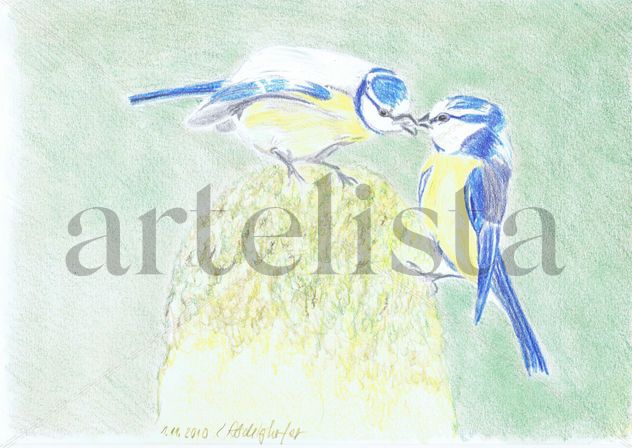 A pair of bluetits