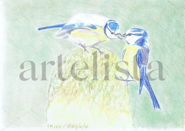 A pair of bluetits Pencil