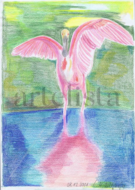 Flamingo
