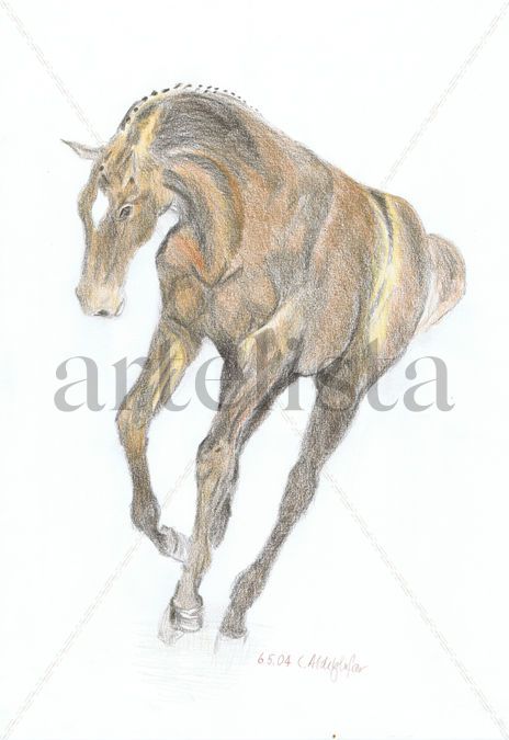 Happy foal