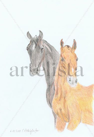 A pair of foals Pencil